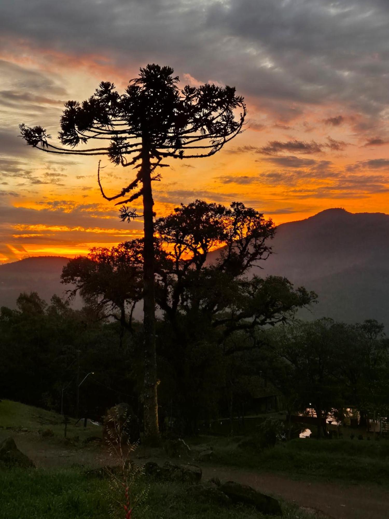 Alto Da Colina Caraa Rsヴィラ エクステリア 写真